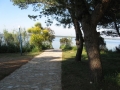 Zvětšit